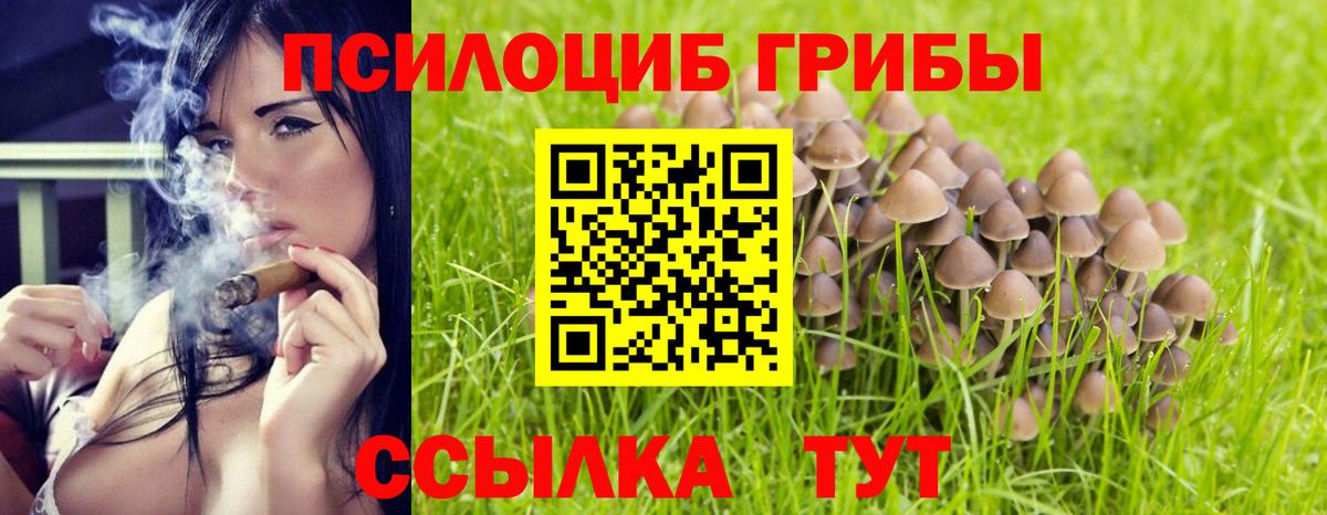 Галлюциногенные грибы GOLDEN TEACHER  Вход с VPN  Псилоцибиновые грибы Magic Shrooms  Магнитогорск 